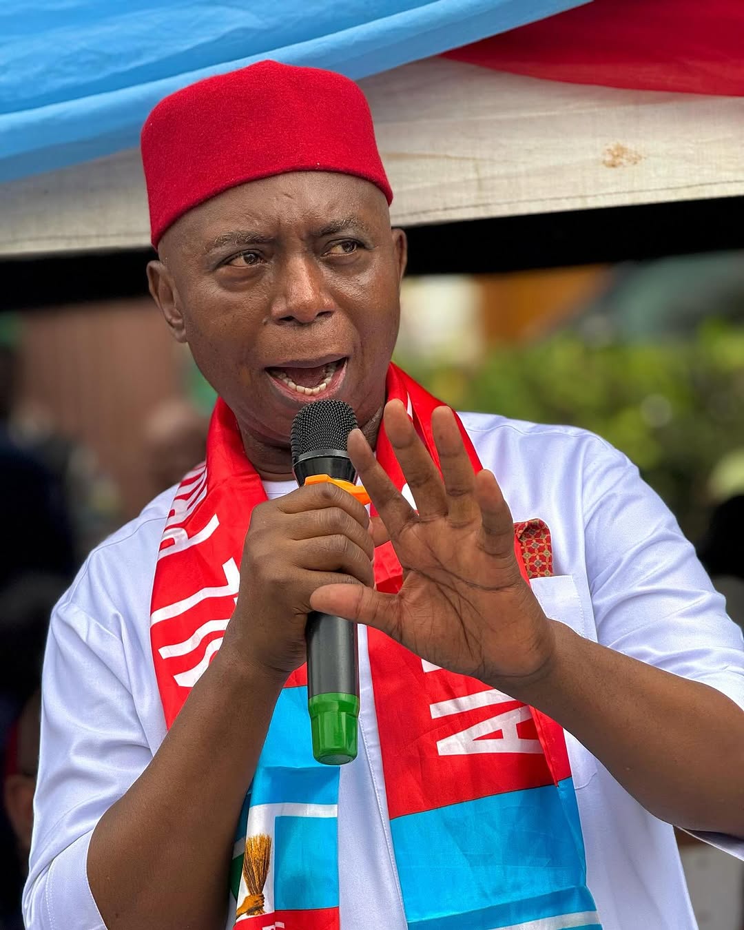 Ned Nwoko Biography